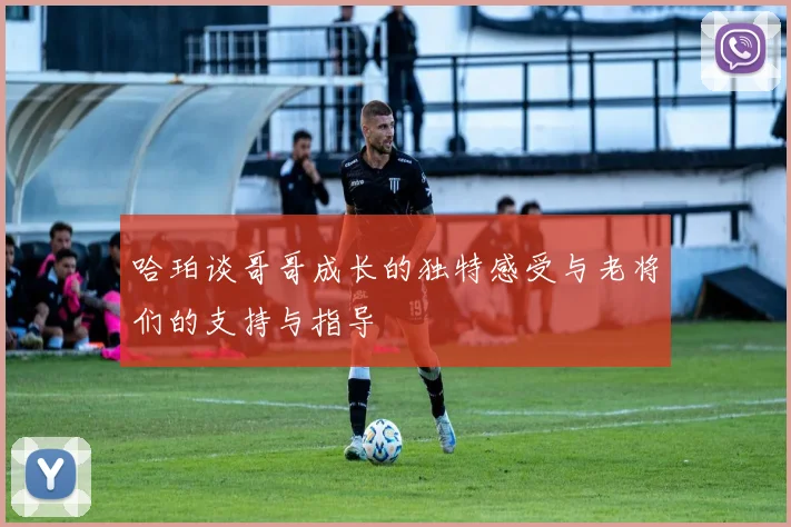 哈珀谈哥哥成长的独特感受与老将们的支持与指导