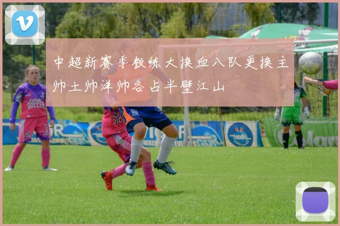 中超新赛季教练大换血八队更换主帅土帅洋帅各占半壁江山