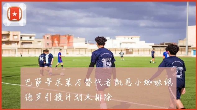 巴萨寻求莱万替代者凯恩小蜘蛛佩德罗引援计划未排除