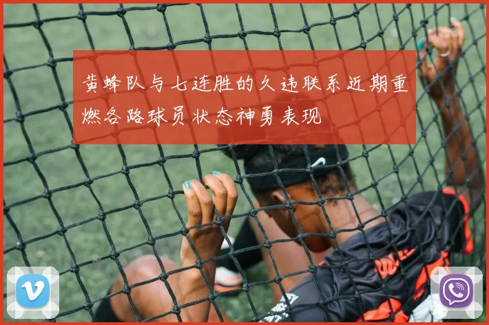 黄蜂队与七连胜的久违联系近期重燃各路球员状态神勇表现