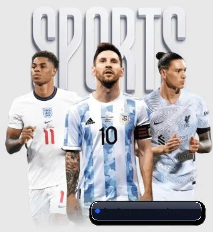 bob体育 APP | BOBSPORTS