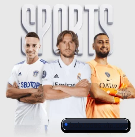 bob体育 APP 界面 | BOBSPORTS